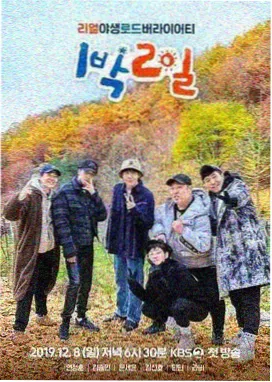 一个人的露营在线播放