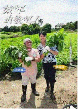 厨房革命在线播放